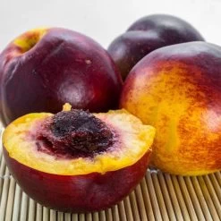 The 3 Best Fruits To Grow In Pots | Nectarine, Fig & Blueberry 14 The 3 Best Fruits To Grow In Pots | Nectarine, Fig & Blueberry -Outdoor Plant Store FRU0140 1 561976aa 3a41 4efc bcd6 02411302aa0e