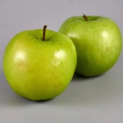 Granny Smith Apple Tree -Outdoor Plant Store FRU0227 3